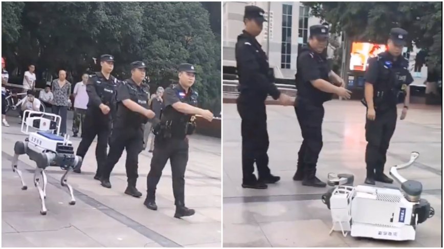 中共机器狗与特警一起操练 突马失前蹄扑街（视频）