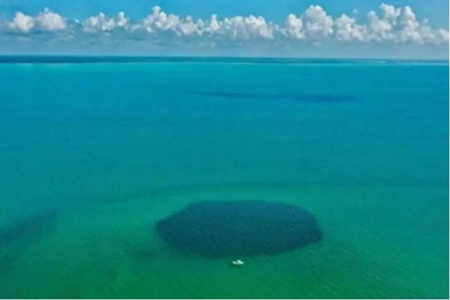 科学家发现世界最深蓝洞