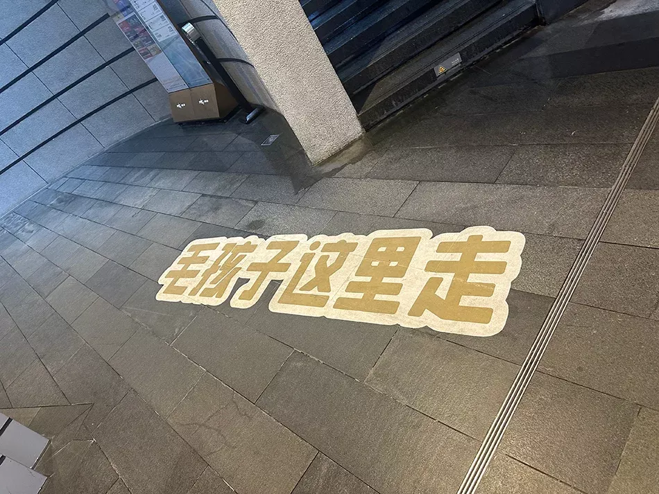 “宠物专用直梯”外的指引标语