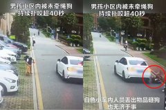 好冷漠！中国男童险被狗咬死 邻居路人见死不救