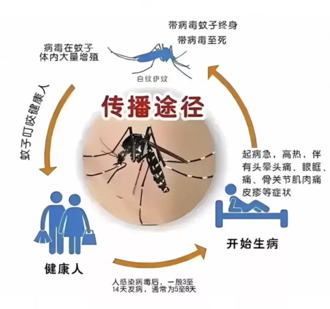 传播途径/图源：中国疾控中心微信公众号