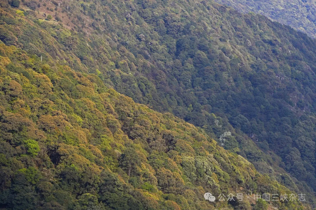 前方高能！哀牢山，有妖气