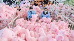 超标近8倍，法国查获中国产“毒毛绒玩具＂