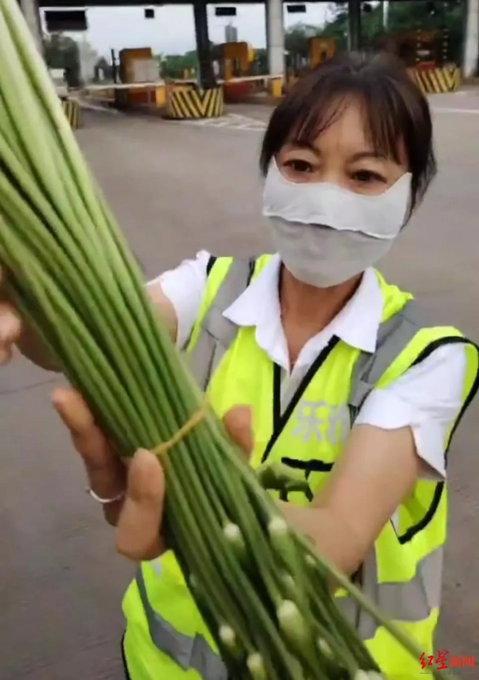 拉韭菜花过收费站被收通行费引发争吵质疑，高速路公司