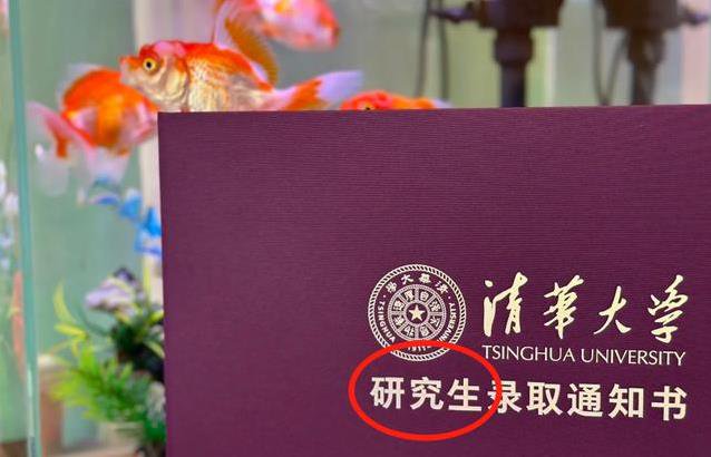 考上清华却被嘲“人下人”，通知书5个字惹争议，真相如何？