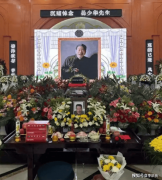 世纪大和解 汪洋吊唁杨少华 调解虎豹兄弟与杨议恩怨