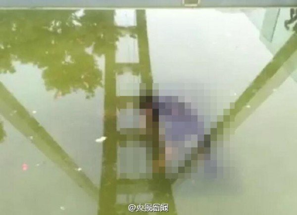 小狗被保全活活给溺死。(图撷取自微博) 小狗被保全活活给溺死。(图撷取自微博)