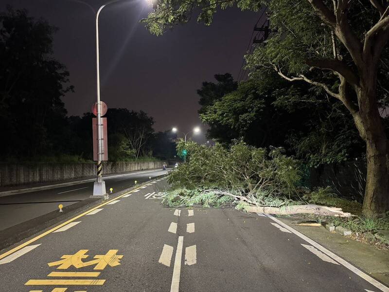 倒塌路树占据车道。(民众提供) 倒塌路树占据车道。(民众提供)