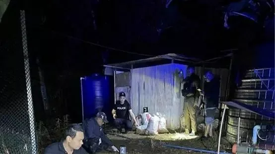 结婚当天，她发现丈夫居然还有俩妻子+10个娃！她果断悔婚却悲剧了…