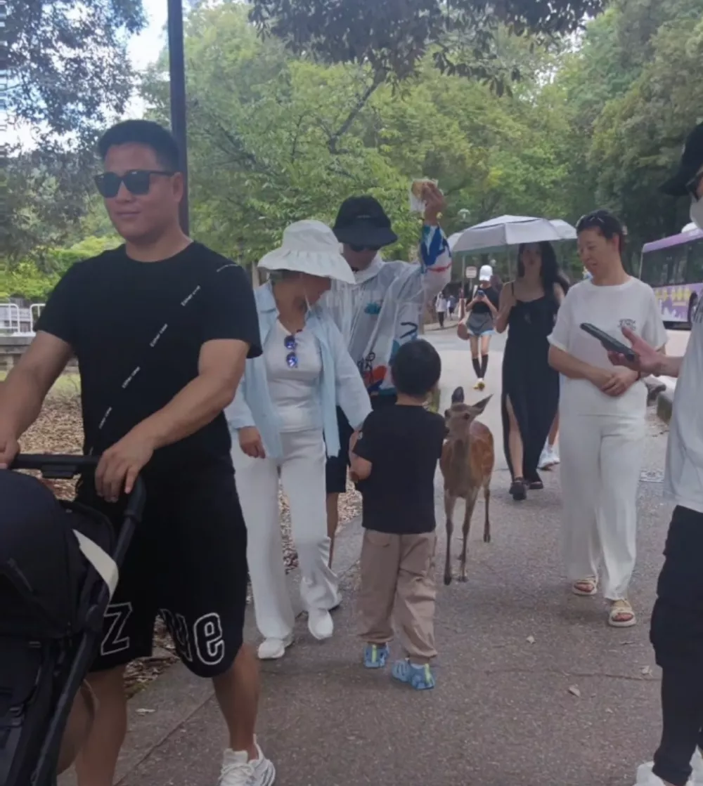 汪峰和森林北游日本：两个人领着3个小孩