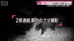 75年首见! 东京都近郊民宅惊传「成年熊出没」
