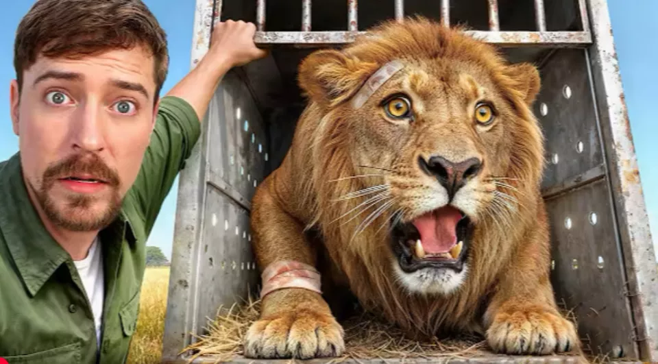 全球第一大网红,在非洲撒钱做慈善