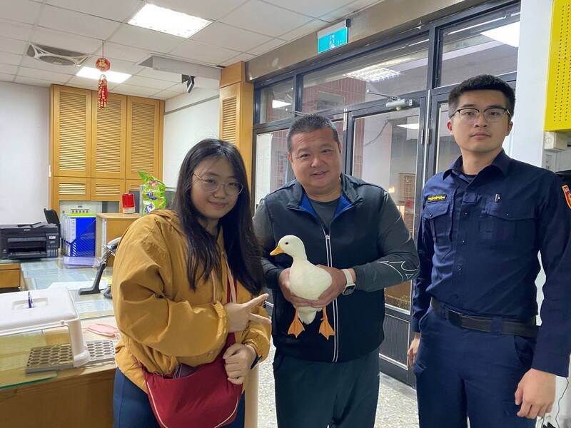 柯尔鸭放风竟凌空脱逃，警方协助返家。（竹崎警分局提供）