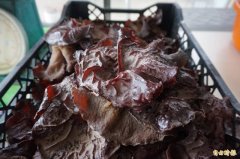 中国黑木耳农药超标63倍！南韩下令紧急回收