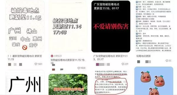 40家犬“嗅闻一下”当场倒毙 广州缉拿下毒者