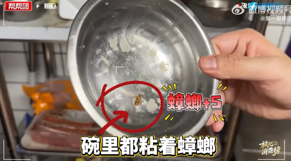 知名餐饮品牌被曝后厨蟑螂横行！成本5元汉堡卖15元