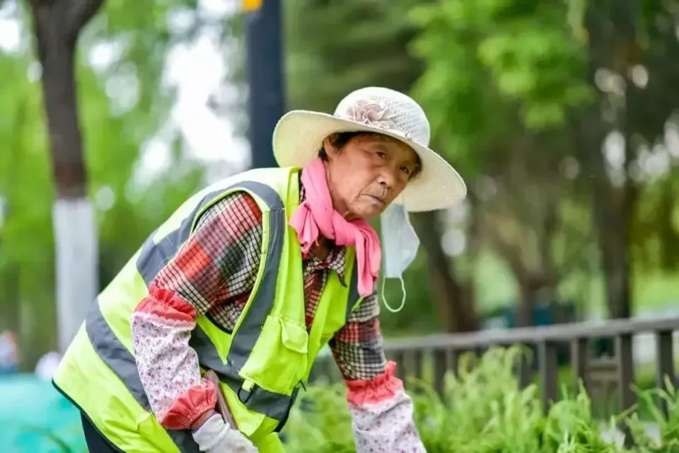 50岁之后,我开始为“第二职场”奔波