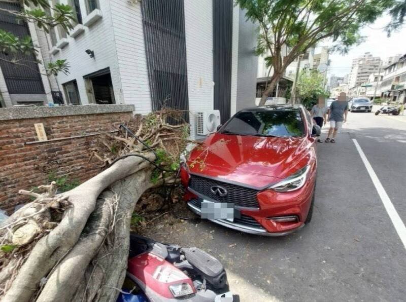 3辆汽机车遭倒塌路树砸中。(民众提供) 3辆汽机车遭倒塌路树砸中。(民众提供)