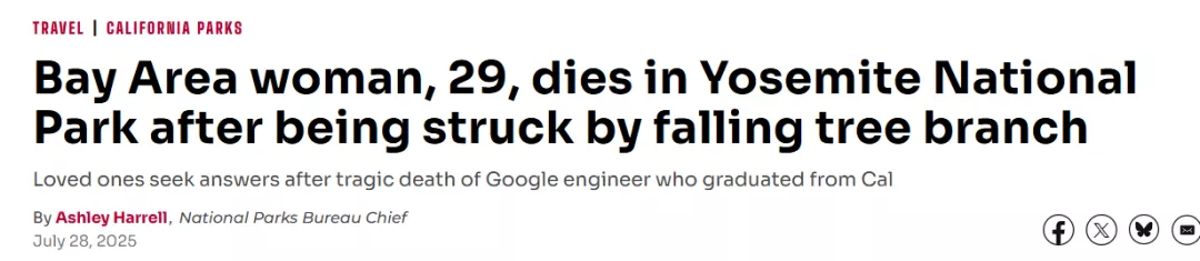 华人谷歌工程师优胜美地被树枝砸死 男友目睹无能为力