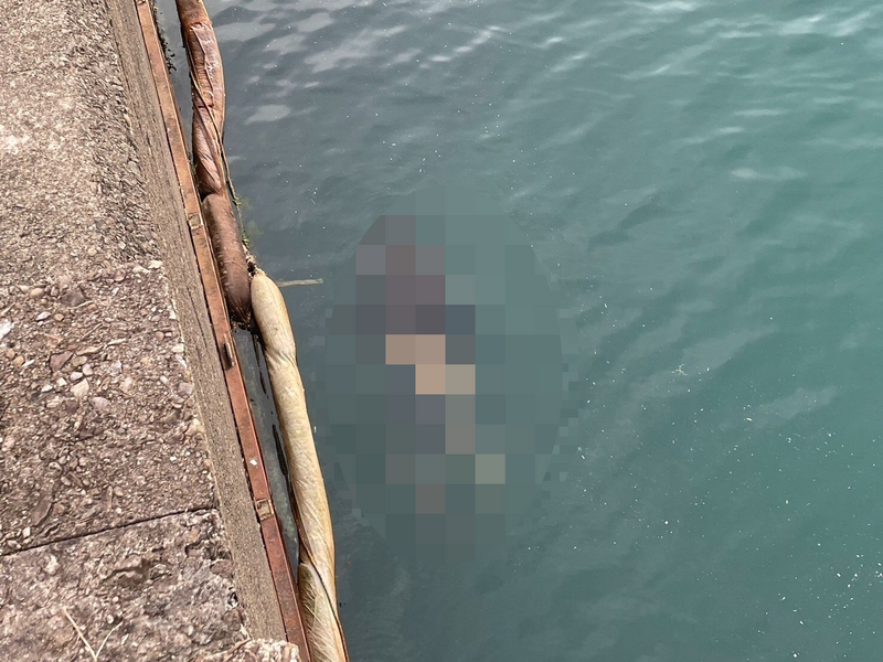 新北市万里核二厂出海口浮尸案,主嫌王嘉荣不满钟姓死者私吞他的毒品,注射3针剂量足以致死的海洛因,再教唆邹姓等3名小弟弃尸,被法院判处无期徒刑、褫夺公权终身。(记者林嘉东翻摄) 新北市万里核二厂出海口浮尸案,主嫌王嘉荣不满钟姓死者私吞他的毒品,注射3针剂量足以致死的海洛因,再教唆邹姓等3名小弟弃尸,被法院判处无期徒刑、褫夺公权终身。(记者林嘉东翻摄)