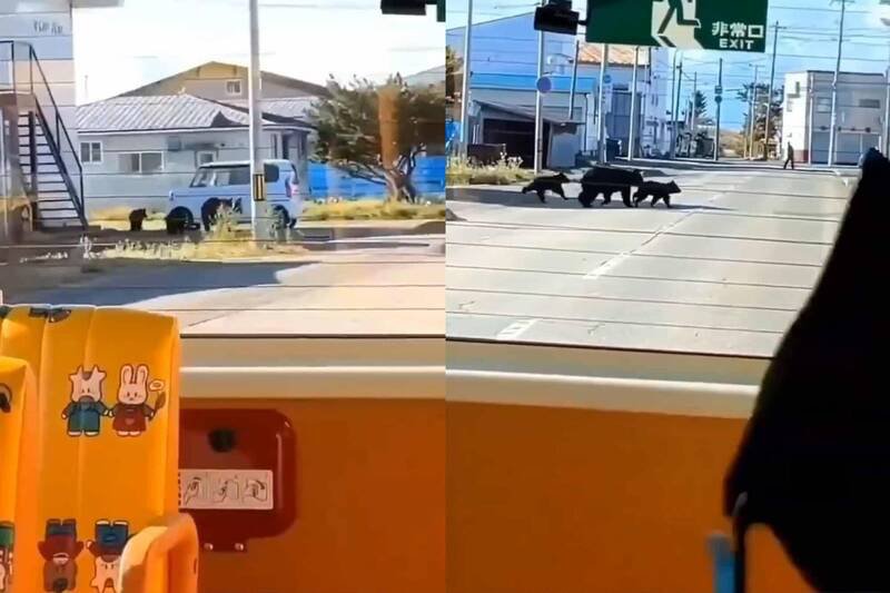 北海道浦河町荻伏町的一处住宅区,21日上午出没3头棕熊母子。(图撷取自@yanagi_1984 社群平台「X」,本报合成) 北海道浦河町荻伏町的一处住宅区,21日上午出没3头棕熊母子。(图撷取自@yanagi_1984 社群平台「X」,本报合成)
