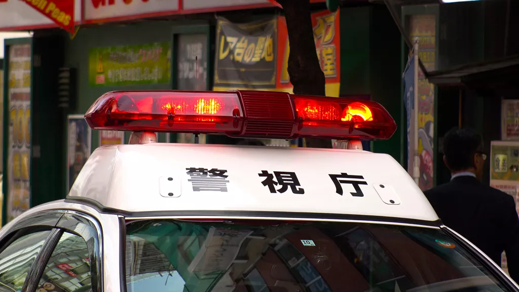 扮中国公安逼留学生自导自演绑架 勒索赎金得手!