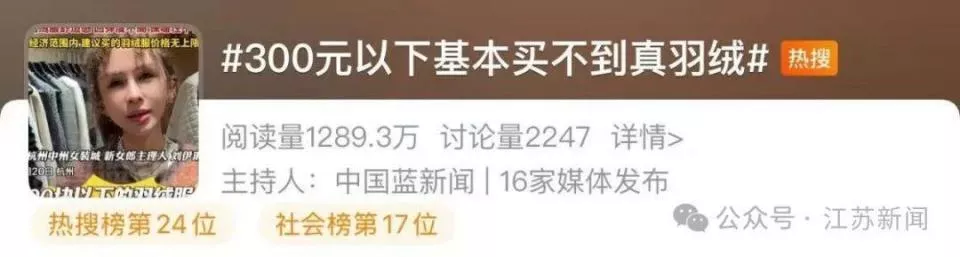 “300元以下基本买不到真羽绒服”,真的吗?