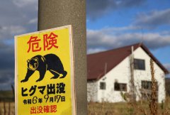 日岩手县熊袭第5死！ 疑熊入侵住宅 67岁翁与爱犬双亡
