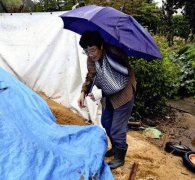 遇到熊如何自保？ 日83岁妇人只受轻伤分享经验谈