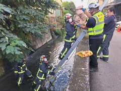 遗憾!刚出生婴儿遭弃水沟 无生命迹象