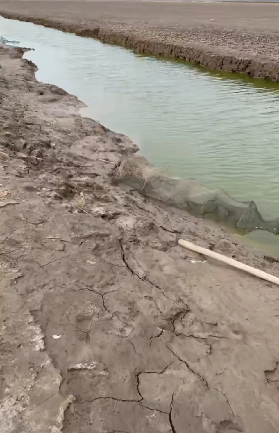 “隔20米一个” 江苏盐城自然保护区被曝有大量地笼