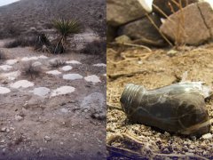美荒野藏亡魂!315份遗骸重见天日 「弃骨灰」原因曝光