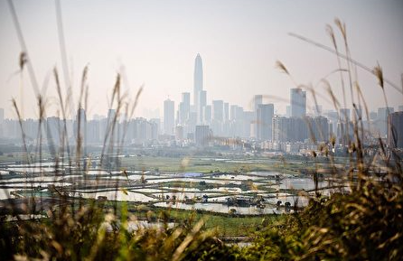 前所未有危机 上海甲级写字楼也崩了 前所未有危机 上海甲级写字楼也崩了