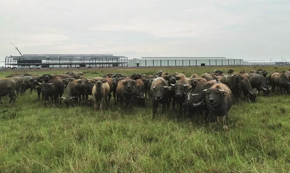 越南最小省,正成为“下一个东莞”? 越南最小省,正成为“下一个东莞”?