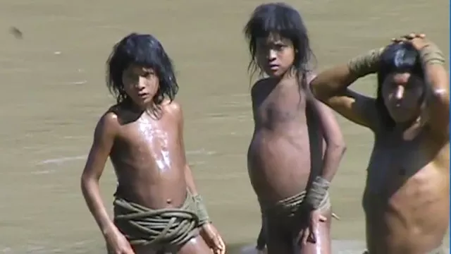 “森林中的兄弟”:守护亚马逊隔绝族群的奋战