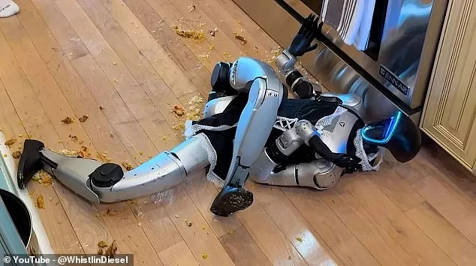 中国机器人惨遭美国网红霸凌“施虐”！引发网友关注