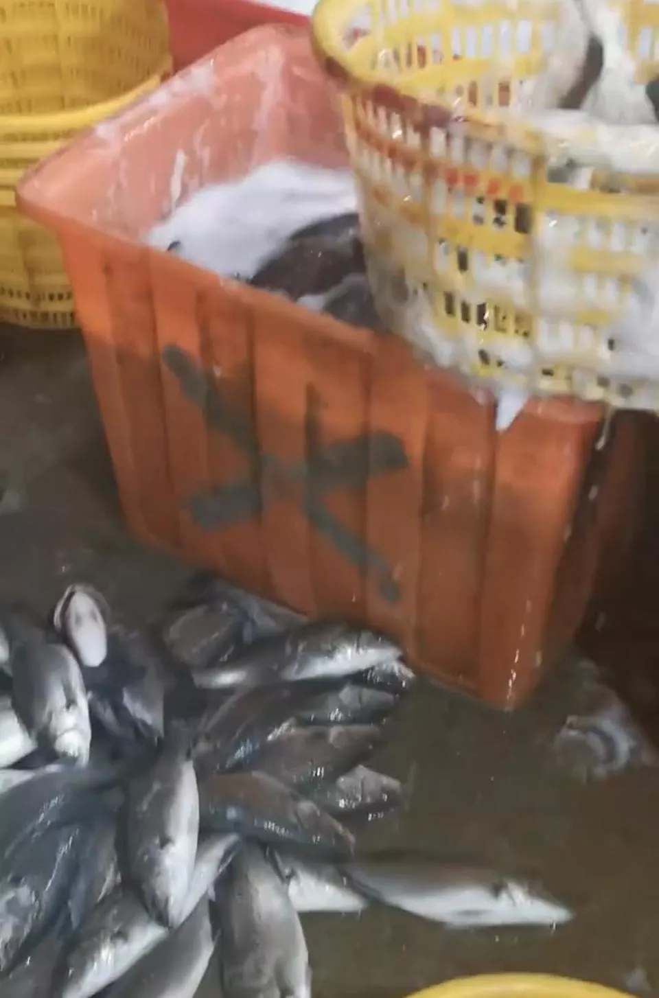 水产市场“麻醉鱼”调查：有商家称麻药有味会换水再卖