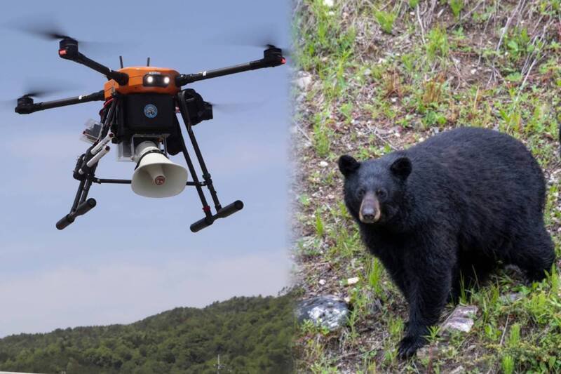 岐阜县知事江崎祯英宣布，准备引进搭载扩音器的无人机，实践「进攻性」防熊手段。示意图。（图撷取自@drone_curation、@NiikeiNews 社群平台「X」，本报合成）