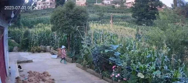 又一个恶魔!霸榜热搜