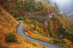 高龄驾驶酿祸?日本车辆冲破围栏坠崖 8旬夫妇双亡