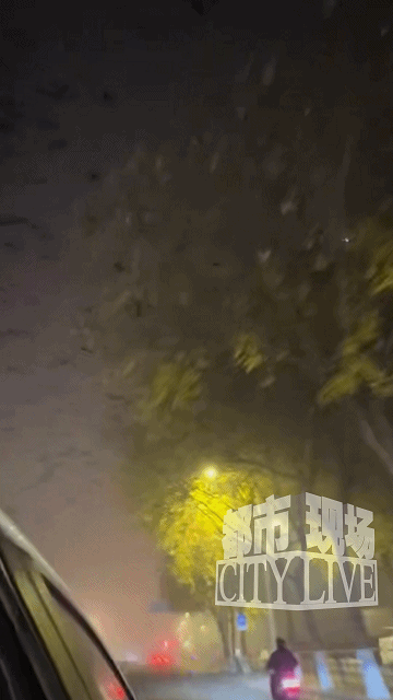 网友凌晨拍到沈阳火车站上空乌鸦密密麻麻 当地网友称“老朋友”很正常