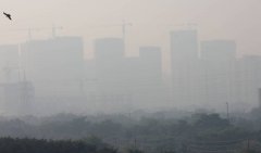 印度新德里空污指标飙至最高等级 引发罕见抗议