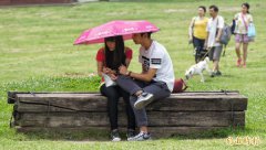 今年5月以来狂飙高温 541人热伤害就诊