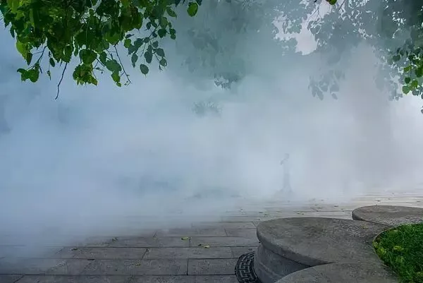 灭蚊36天，一个基层工作者和她消失的周末