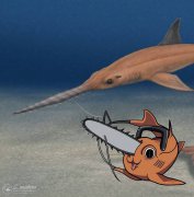 智利出土新化石「波奇塔锯鲨」 考古团队:名字致敬《链锯人》