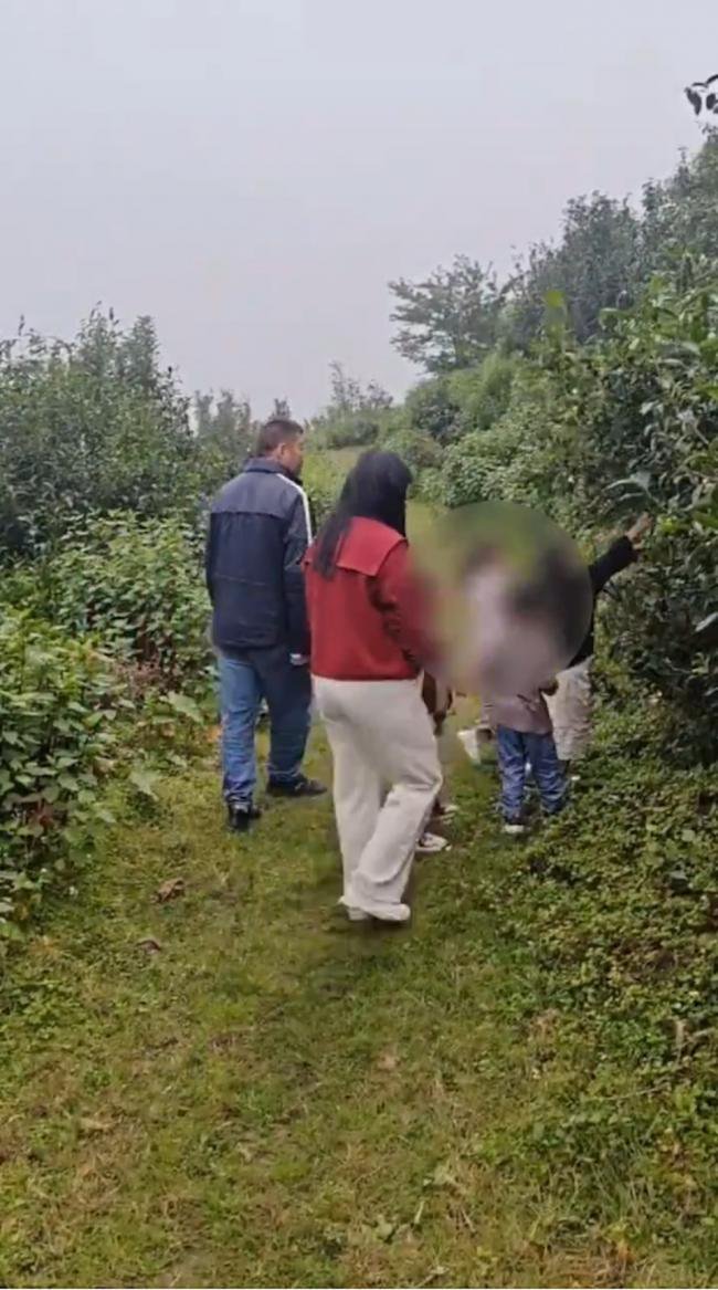 云南“野孩子”事件 官方通报来了 云南“野孩子”事件 官方通报来了