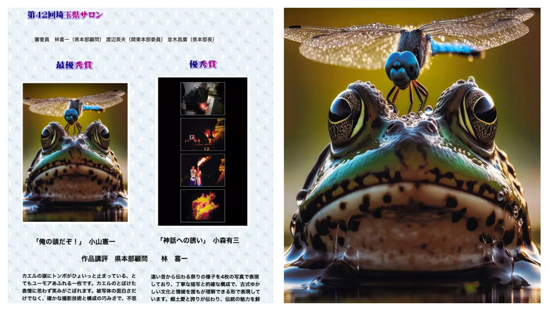 日本摄影大赛大奖竟是“免费AI图” 还在美术馆展出