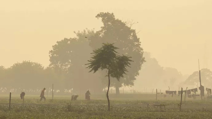 新德里干了件50年来从未有过的大事，代价很高昂