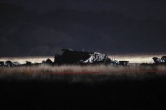 土耳其C-130运输机坠毁 防长:机上20人全罹难