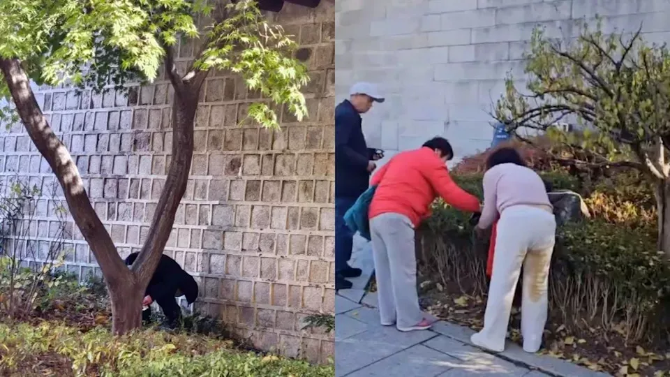 中国游客在著名景点当众脱裤大便？网络又炸锅了